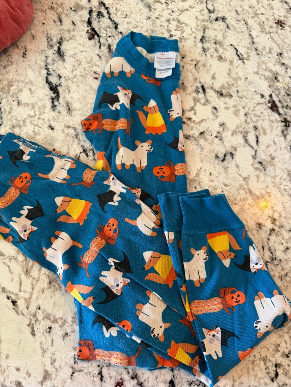 Hanna Andersson Teal Blue Halloween Dog Print Pajama Set
